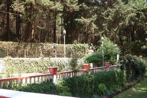 The Red House image 6